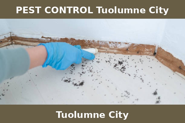 PEST CONTROL Tuolumne City